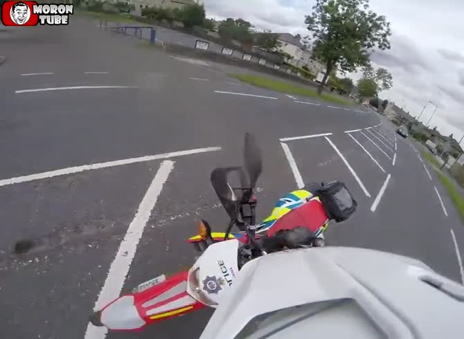 Video :The hedgehog gets saved by a British police motorbike